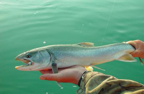 Riggins Hot Springs Hotel | Community at Riggins Hot Springs