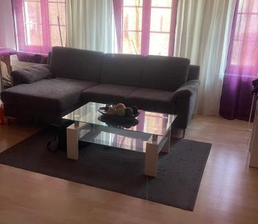 St. Gallen Apartment | Como apartamento en el centro de st Gallen