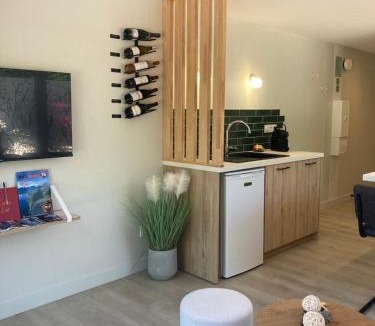 Saxel Apartment | Complexe Ô songes de Saxel