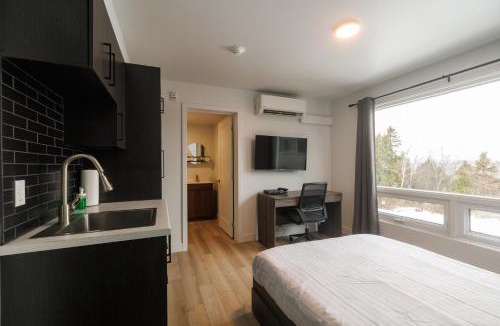 Riviere-du-Loup Regional County Municipality Apartment | Complexe la Falaise