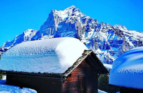 Aeschlen ob Gunten Apartment | Concierge, Lake Thun/Alps Scenic Views by SwissHut