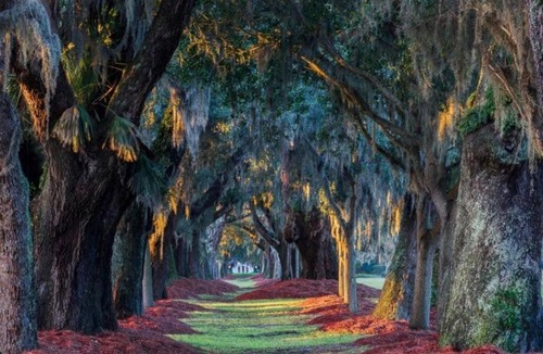 Saint Simons Heights House | Condo 2BR,2BA