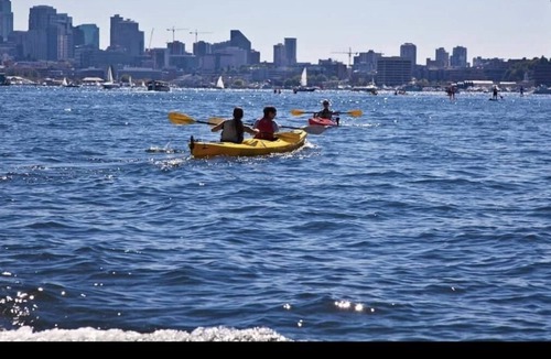 Ravenna Condo | Condo in Seattle