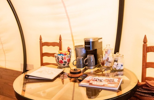 Valley View Cabin | Conestoga Wagon 2 -Wildlife Encounters and a Wild West Wagon!