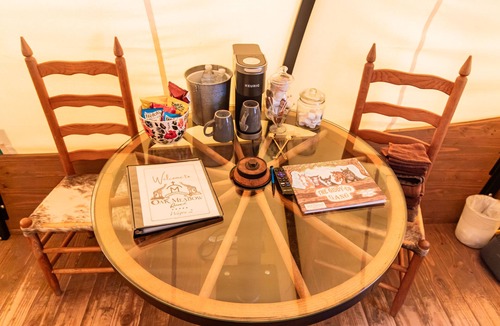 Valley View Cabin | Conestoga Wagon 2 -Wildlife Encounters and a Wild West Wagon!
