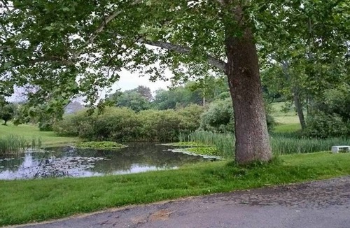 Russell Bed & Breakfast | Conewango Room at Carousel Bed and Breakfast