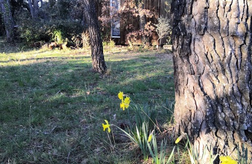 Chateauneuf-de-Gadagne Cottage | Confortable Cottage Dans les Bois