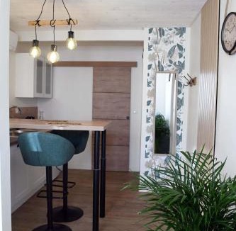 Saint-Doulchard Apartment | Confortable studio avec jardin