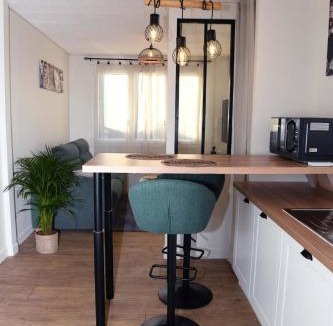 Saint-Doulchard Apartment | Confortable studio avec jardin