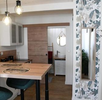 Saint-Doulchard Apartment | Confortable studio avec jardin