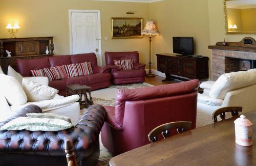 South Molton House | Conifers