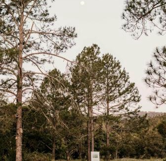 Nimbin Apartment | Contained in Nimbin Accommodation