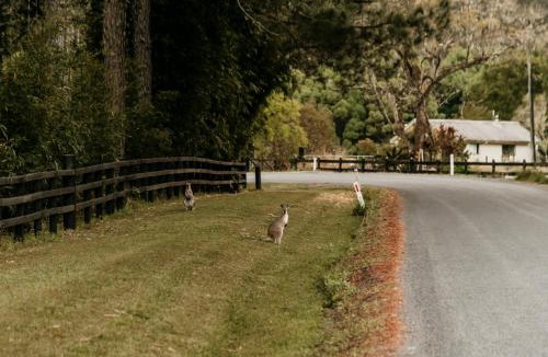 Nimbin Apartment | Contained in Nimbin Accommodation