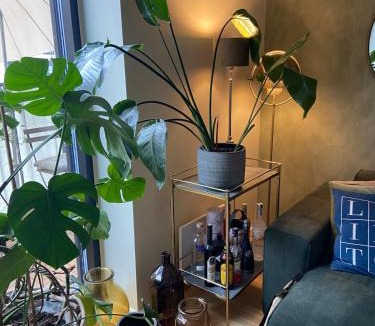 Copenhagen Apartment | Contemporary and Luxurious