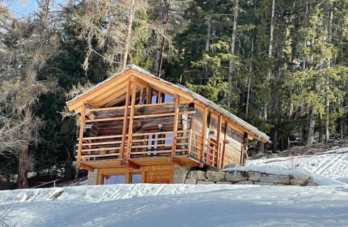 Mase Ski Chalet | Contemporary Chalet in Mont-Noble with Mountain View.