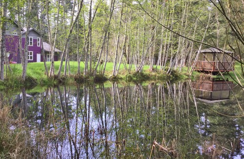 Friday Harbor House | Contemporary in the Woods