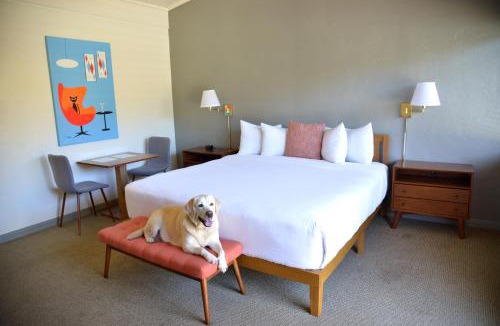 Carmel Valley Hotel | Contenta Inn