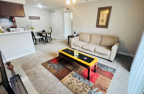 Astrodome Apartment | Convenient Cozy 1-BR apartment, close to downtown, NRG, fine dining, Med Ctr