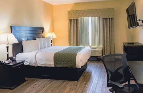 Tyler Hotel | Convenient Room Designed for Comfort + Free Breakfast + Near Everything in Tyler