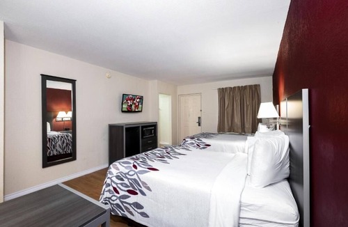 Houston Hotel | Convenient Room Ideal for Budget Travelers near Houston's Top Attractions