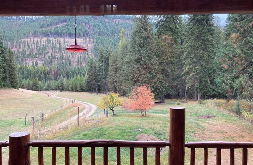 St. Regis Cabin | Convenient yet private, serene, & quiet with good Wi-Fi