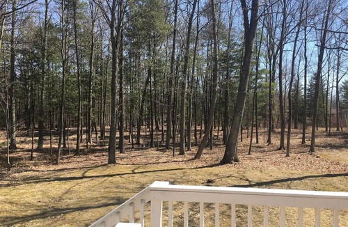 Traverse City House | Conveniently Located Cape Cod in TC, Sleeps 6