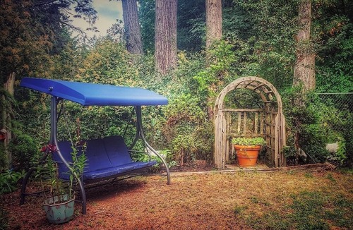 Port Angeles House | Converted Pole Barn Near Beach Becomes Luxury Destination