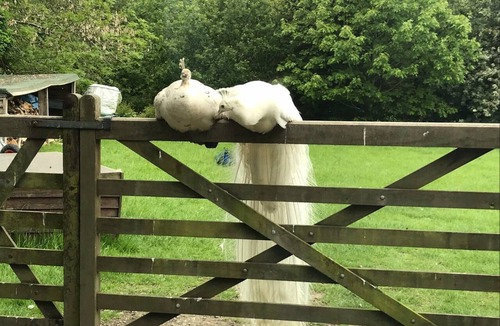 Corwen House | Converted Stone Barn -20 Acres - Farm Animals!