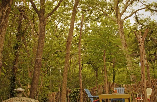 Travis Heights Apartment | Cool Art/Living Space & Studio - Near Soco & Downtown!