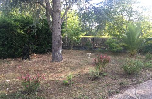Sainte-Eulalie-en-Born House | Cool Landes