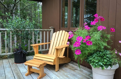 Chester Cottage | Cooperage Cottage - Peaceful & Family Friendly, Oceanfront