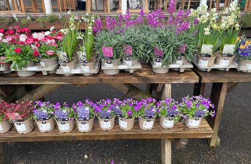 Aberchalder House | Coorie Doon Cabin! Great Scottish Welcome