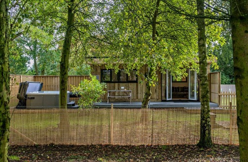 Toppesfield House | Copper Beech at Toppesfield Hall