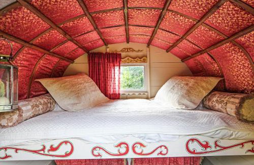 Malpas House | Copperbeech Bowtop