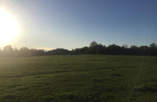 Armentieres House | Coquelicot