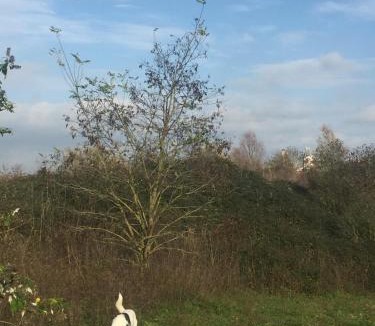 Armentieres House | Coquelicot