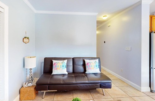 Bay Point House | Coral Queen Palm