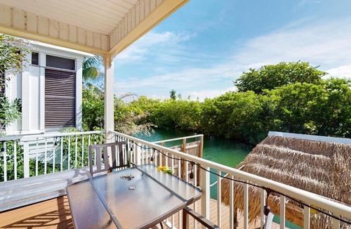 Bay Point House | Coral Queen Palm