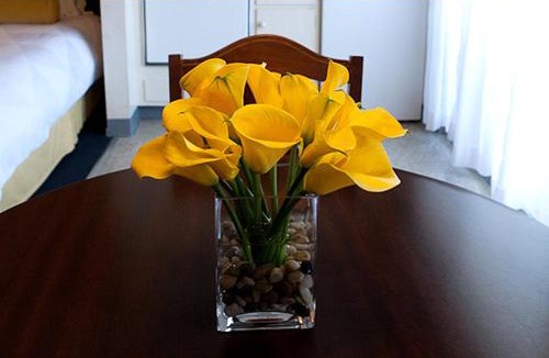 East End Hotel | Coral Reef Inn & Condo Suites