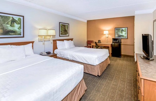 North San Antonio - SAT Hotel | Coratel Inn & Suites by Jasper Wonderland Deluxe 2 Double Bed NS