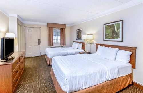 North San Antonio - SAT Hotel | Coratel Inn & Suites by Jasper Wonderland Standard 2 Double Bed NS