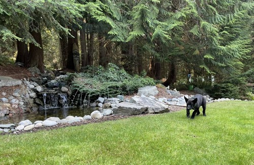 Oak Harbor House | Cornet Bay Lodge. Park retreat