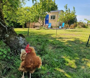 St Teath Ski Chalet | Cornwall Luxury Hot Tub Huts