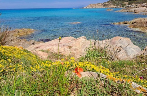 Occhiatana Apartment | Corse Studio 2 Personnes