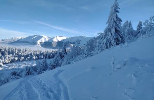 La Mure Apartment | Cosy 2 pièces à deux pas du petit train de la Mure