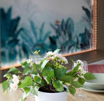 Hindisheim Apartment | cosy-alsace