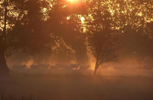 Acton Scott House | Cosy and quiet one bed barn conversion.