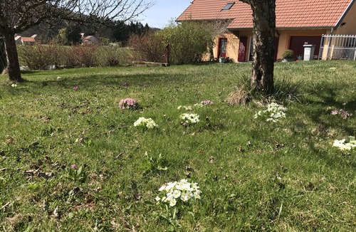 Etueffont Cottage | COSY AND SPACIOUS FARMHOUSE, ALL INCLUSIVE, SLEEPS 9