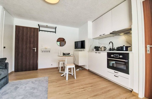 Ovronnaz Apartment | Cosy apartment for 2 guests with WIFI, TV, balcony and pets allowed