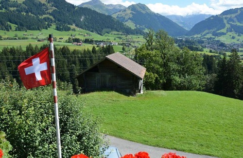 Saanen Apartment | Cosy apartment for 5 guests with balcony